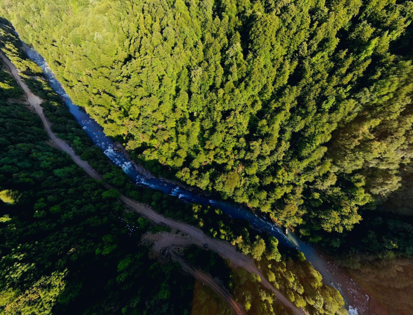 გაზაფხულის ჩხოროწყუ