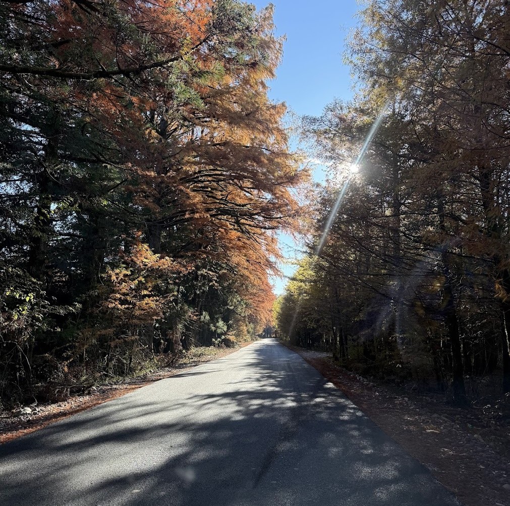 ჩხოროწყუს ბუნება