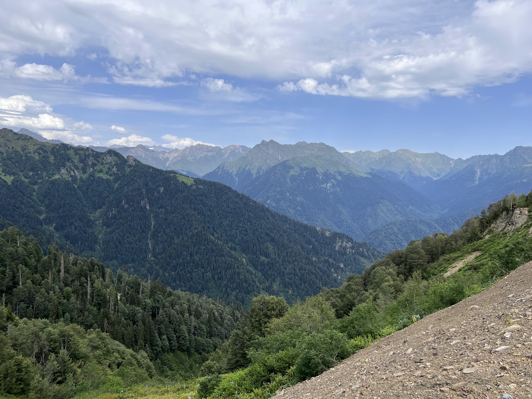 პრაქტიკული ინფორმაცია